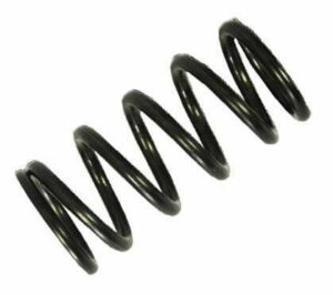 LATEST RAGE 109570: VALVE SPRING  / OUTER / EACH